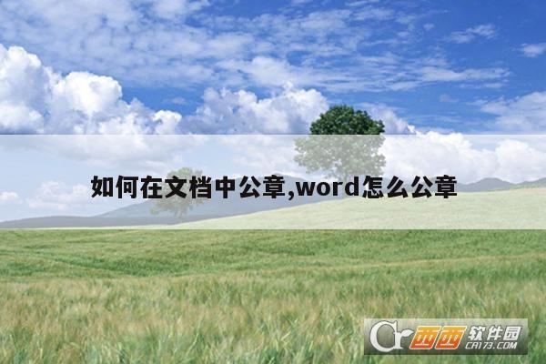 文档加公章,文件加章,word加章子.